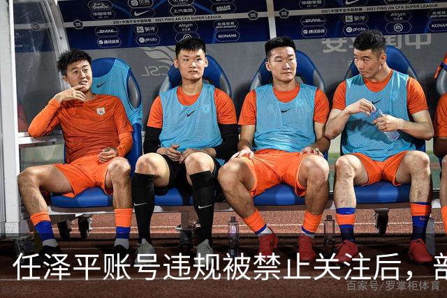 任泽平账号违规被禁止关注后，部分股民集体欢呼：A股终于要踏实涨了