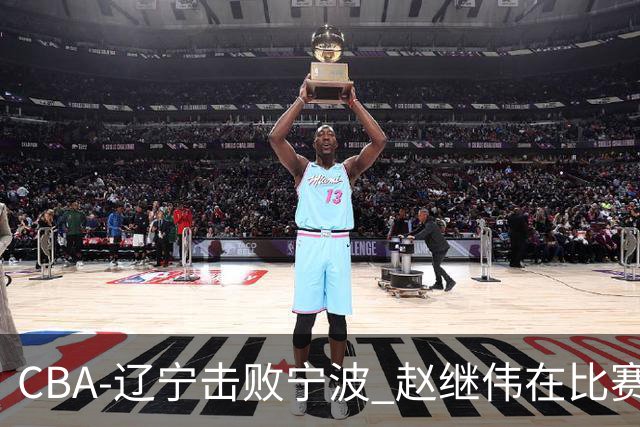 CBA-辽宁击败宁波 赵继伟在比赛中